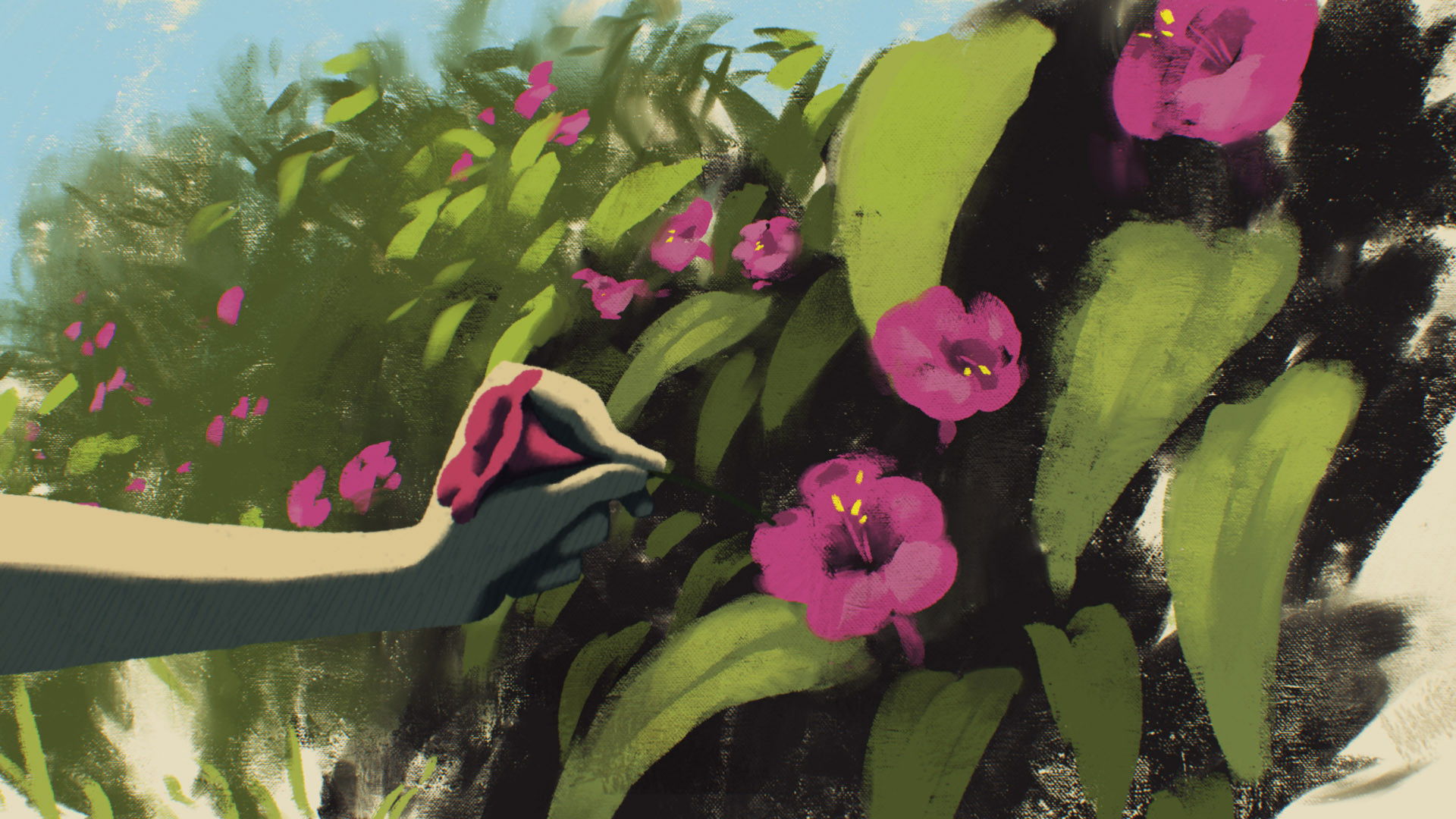 The Four O'clock Flower Background