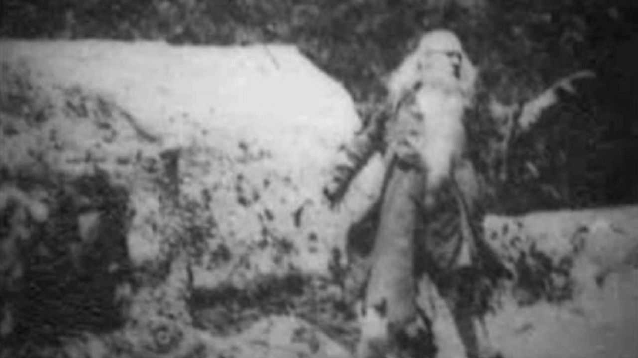 Awakening of Rip Background