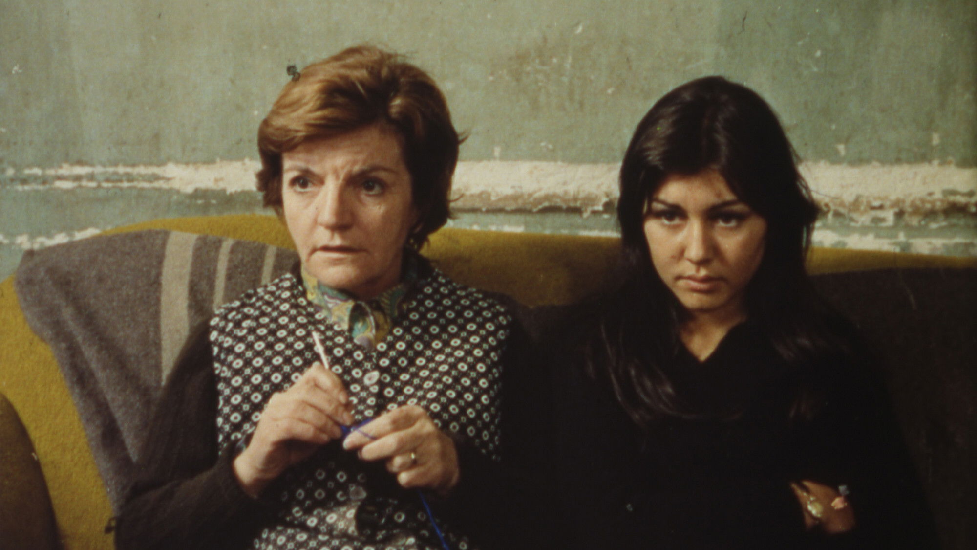 Palomita blanca Background