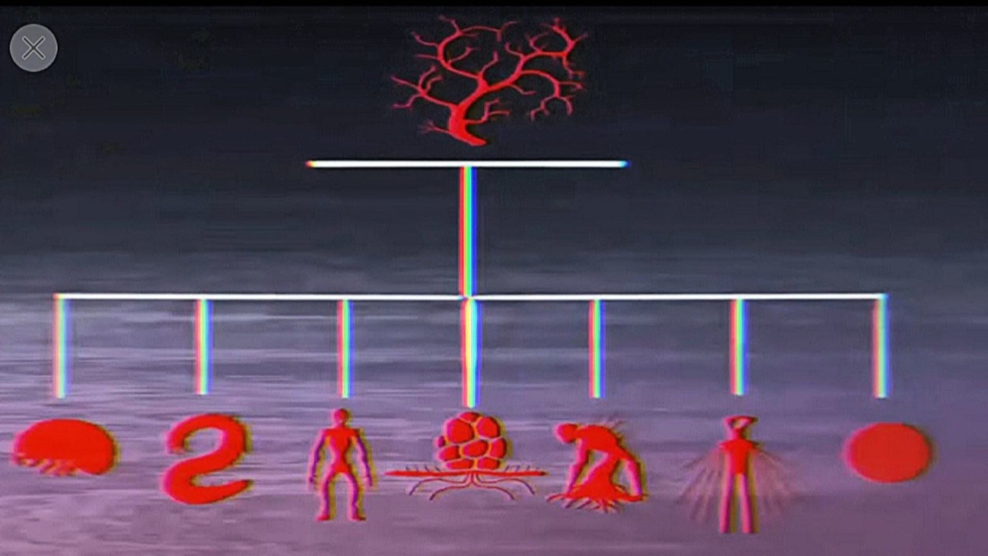 Vita Carnis - Living Meat Documentary Background