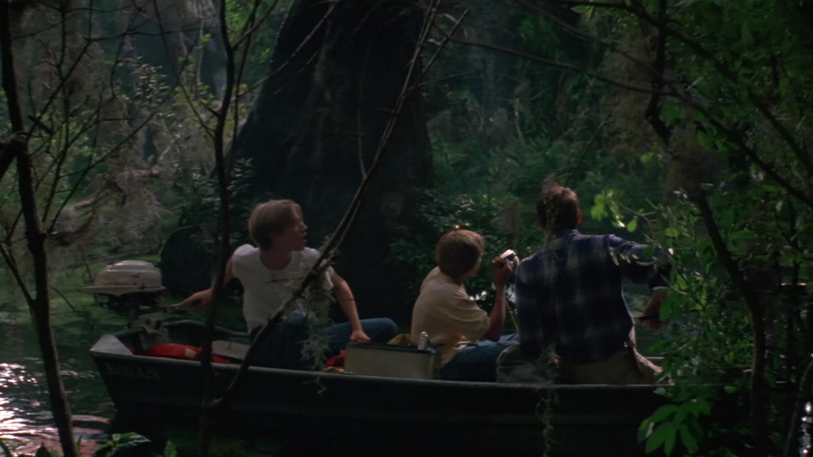 Wild America Background