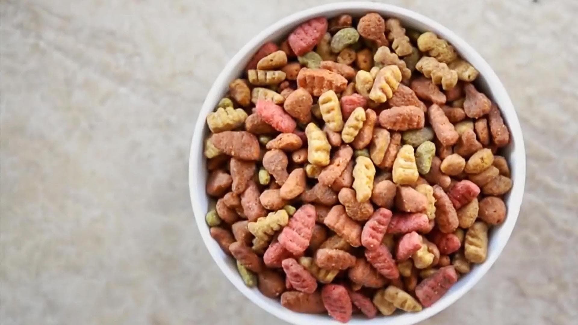 Pet Fooled Background