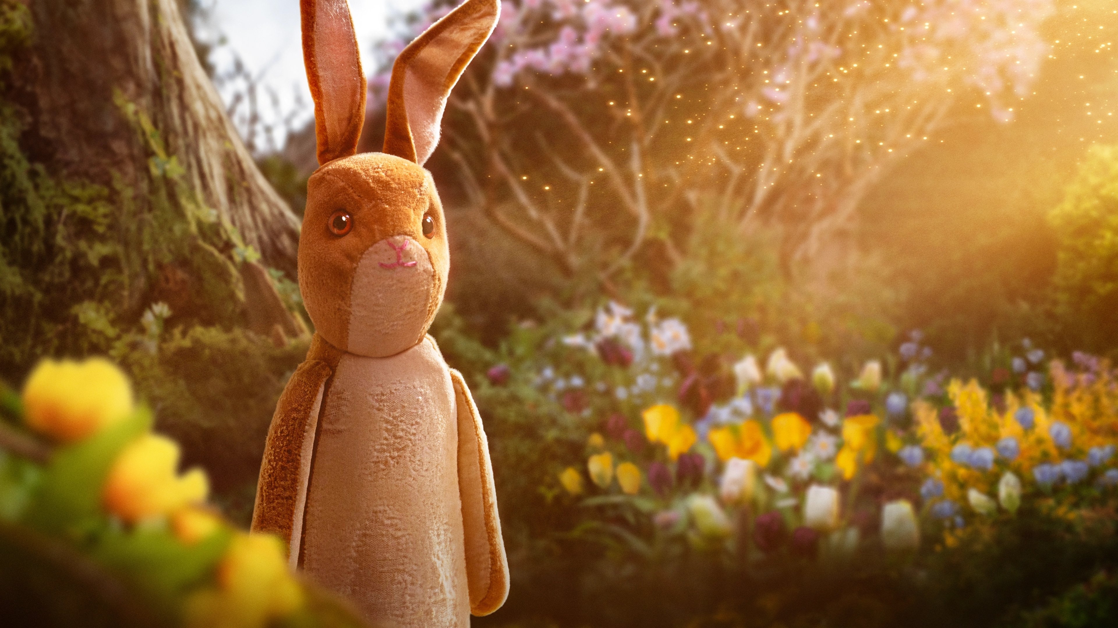 The Velveteen Rabbit Background