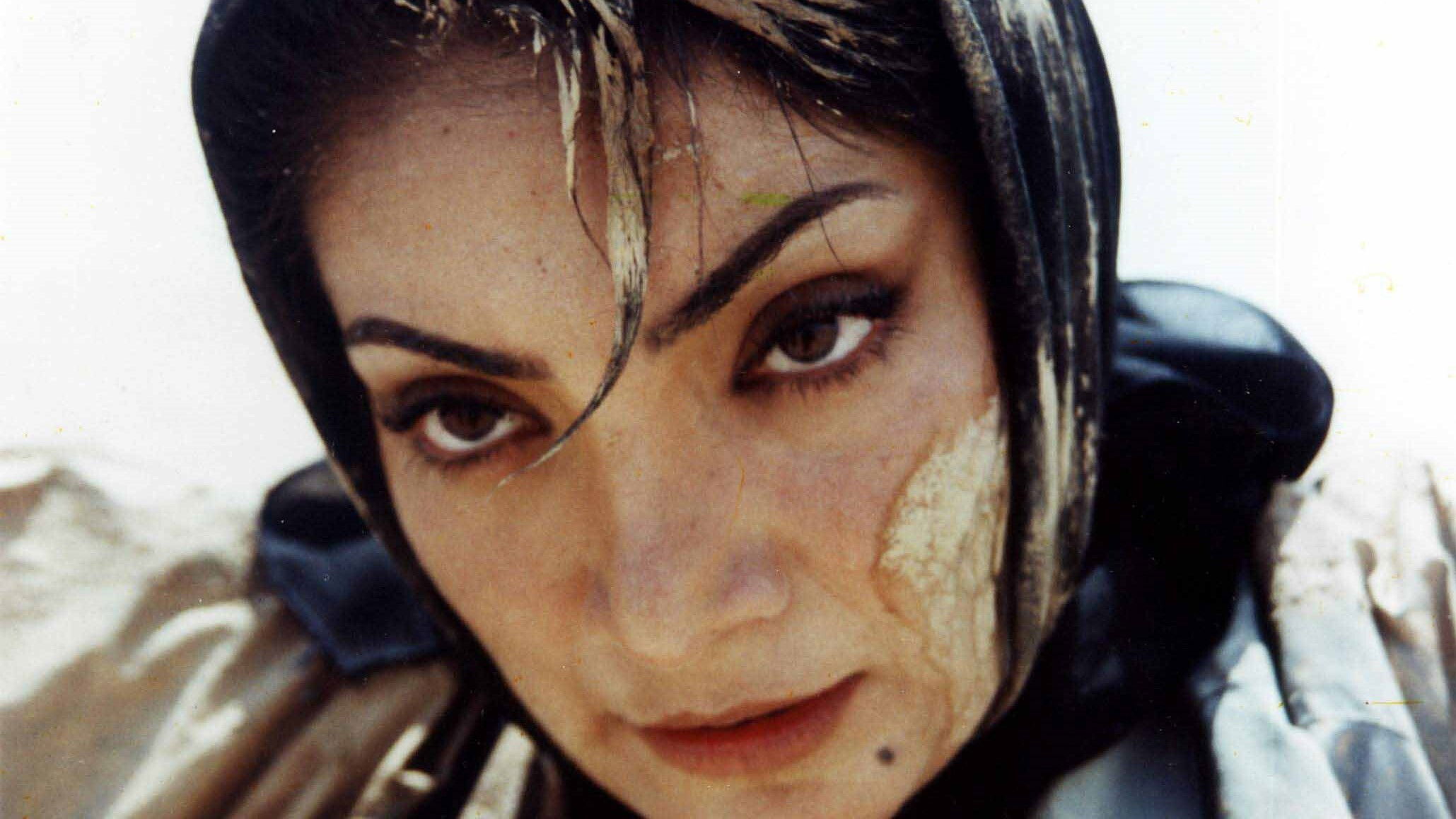 Dead Heat Under the Shrubs Background