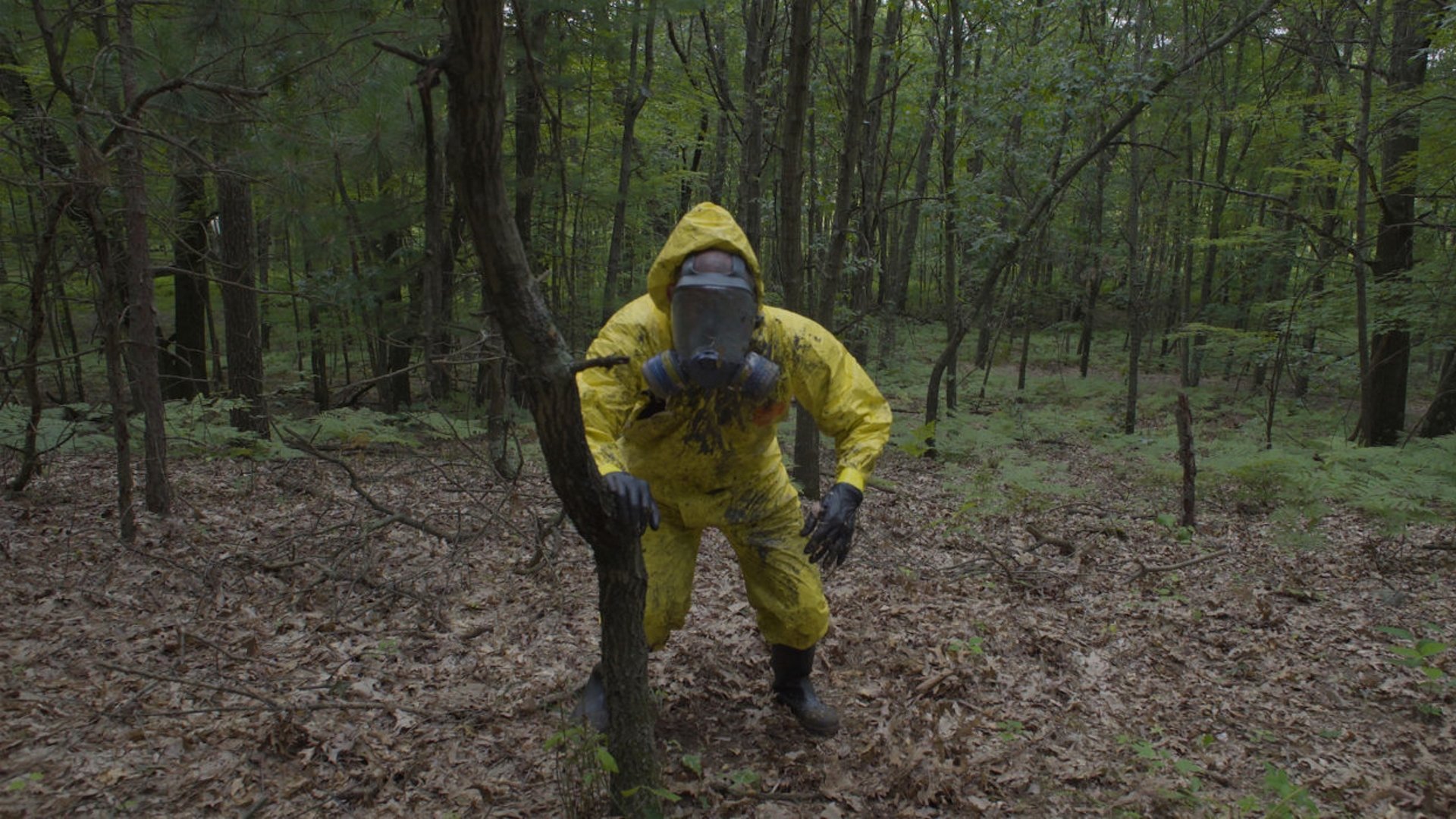 The Spore Background