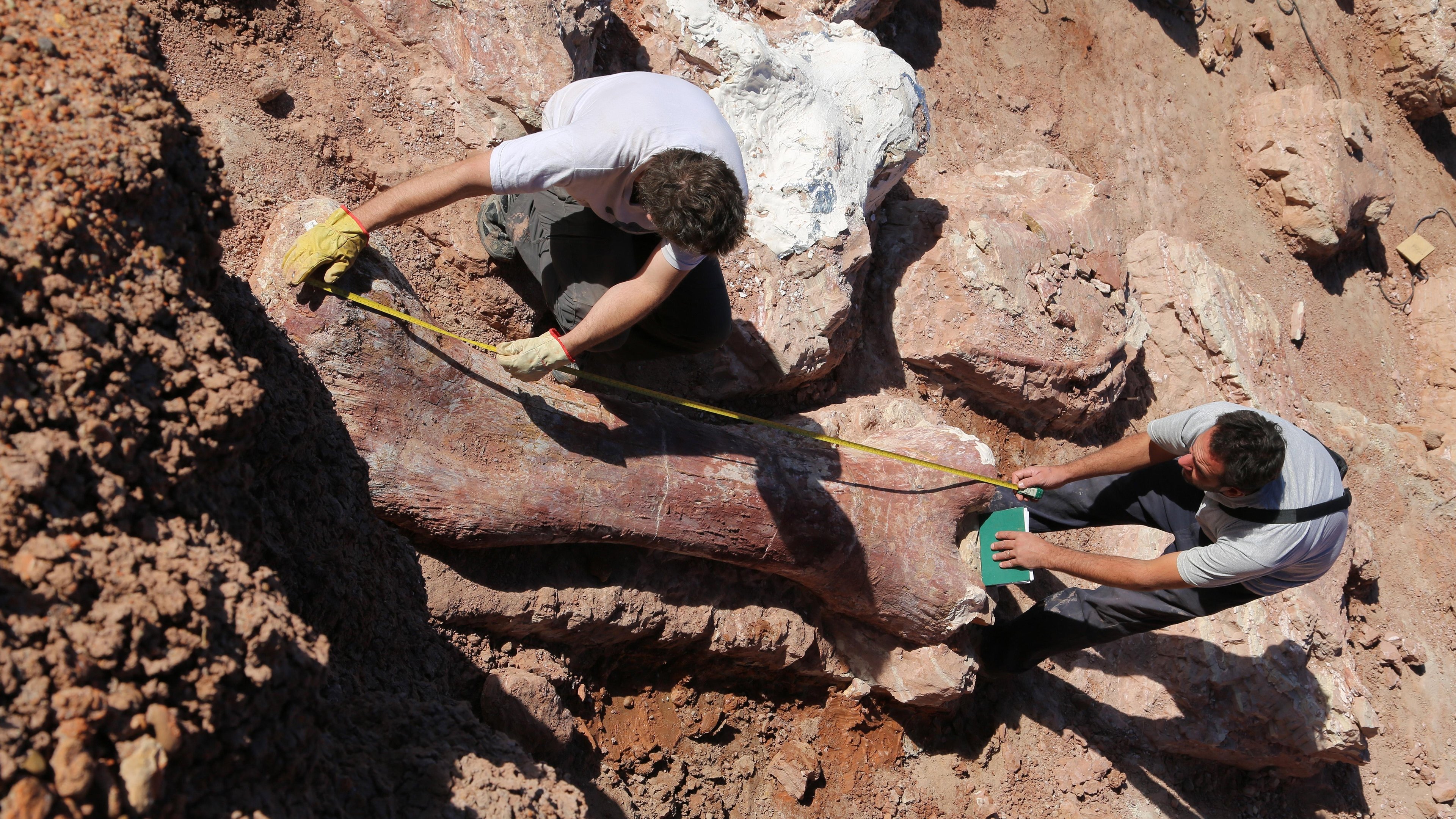 Attenborough and the Giant Dinosaur Background