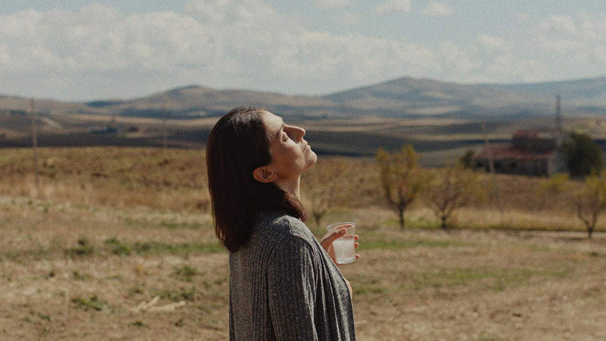 The Last to See Them Background