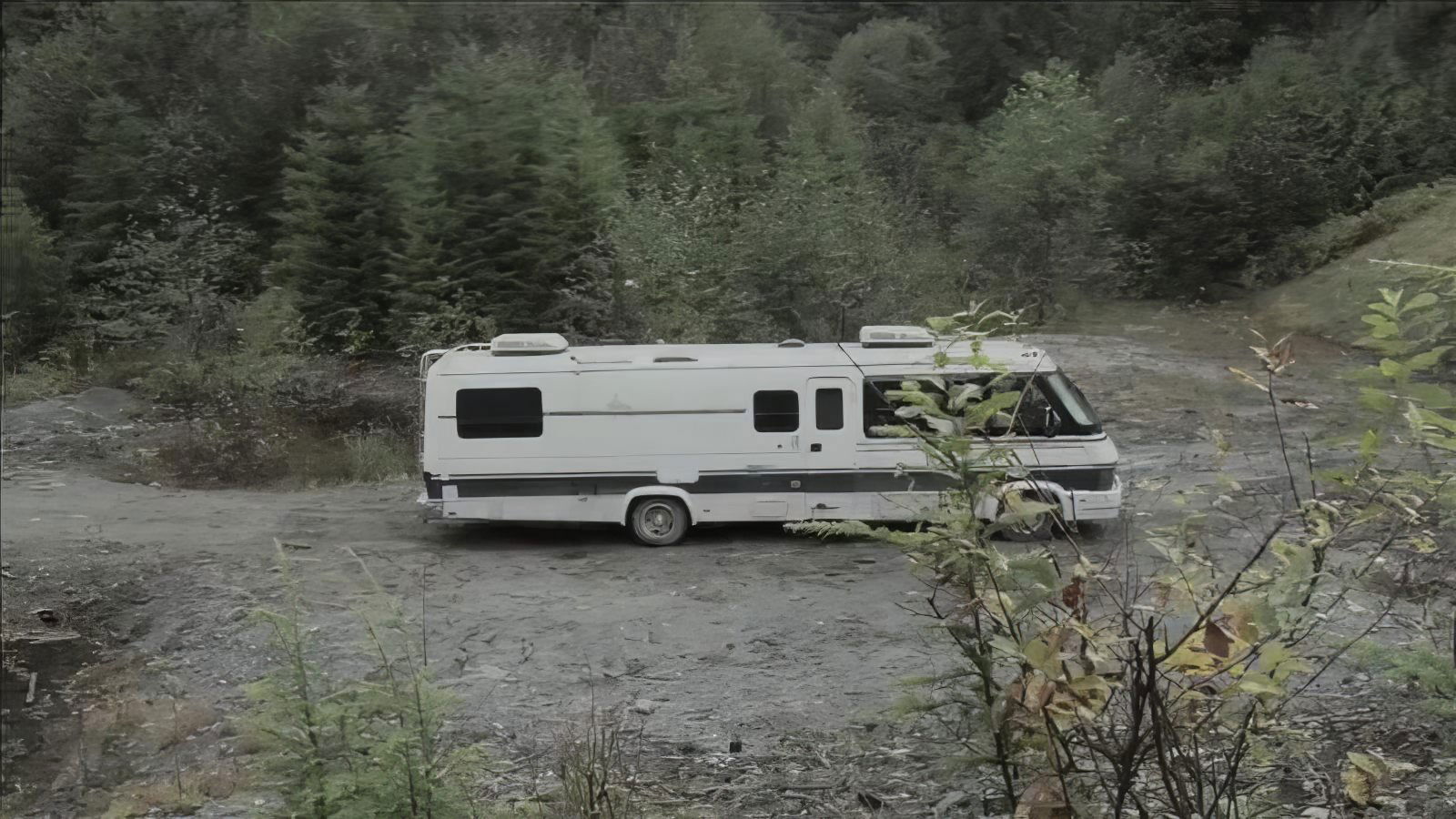 Crowsnest Background