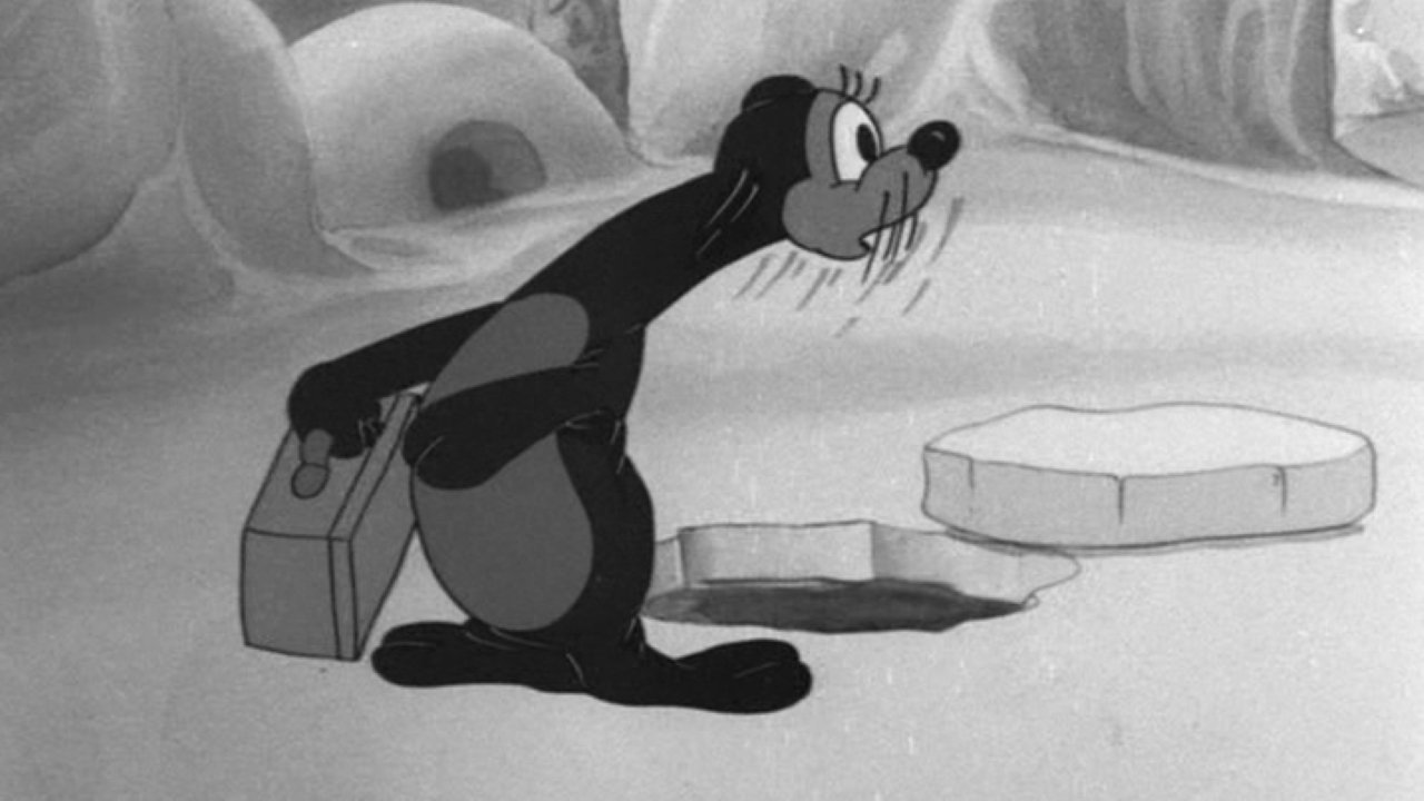 Seal Skinners Background