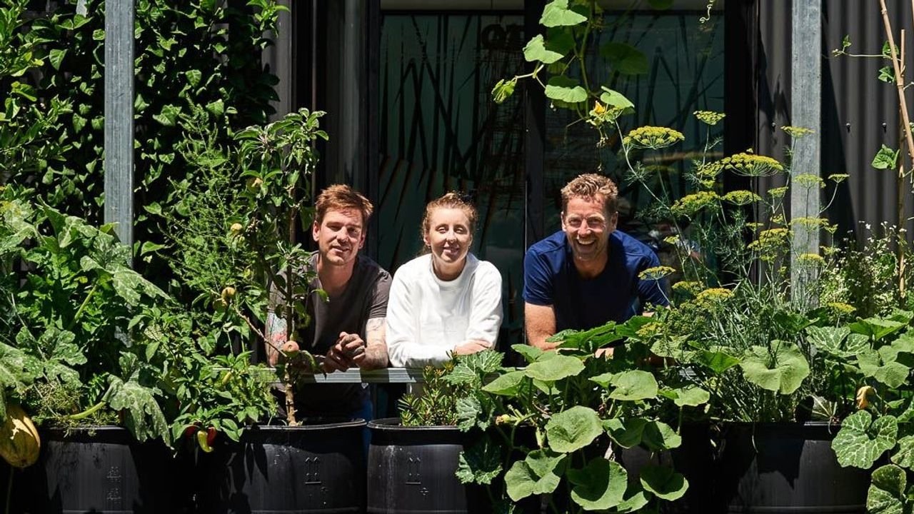 Greenhouse by Joost Background