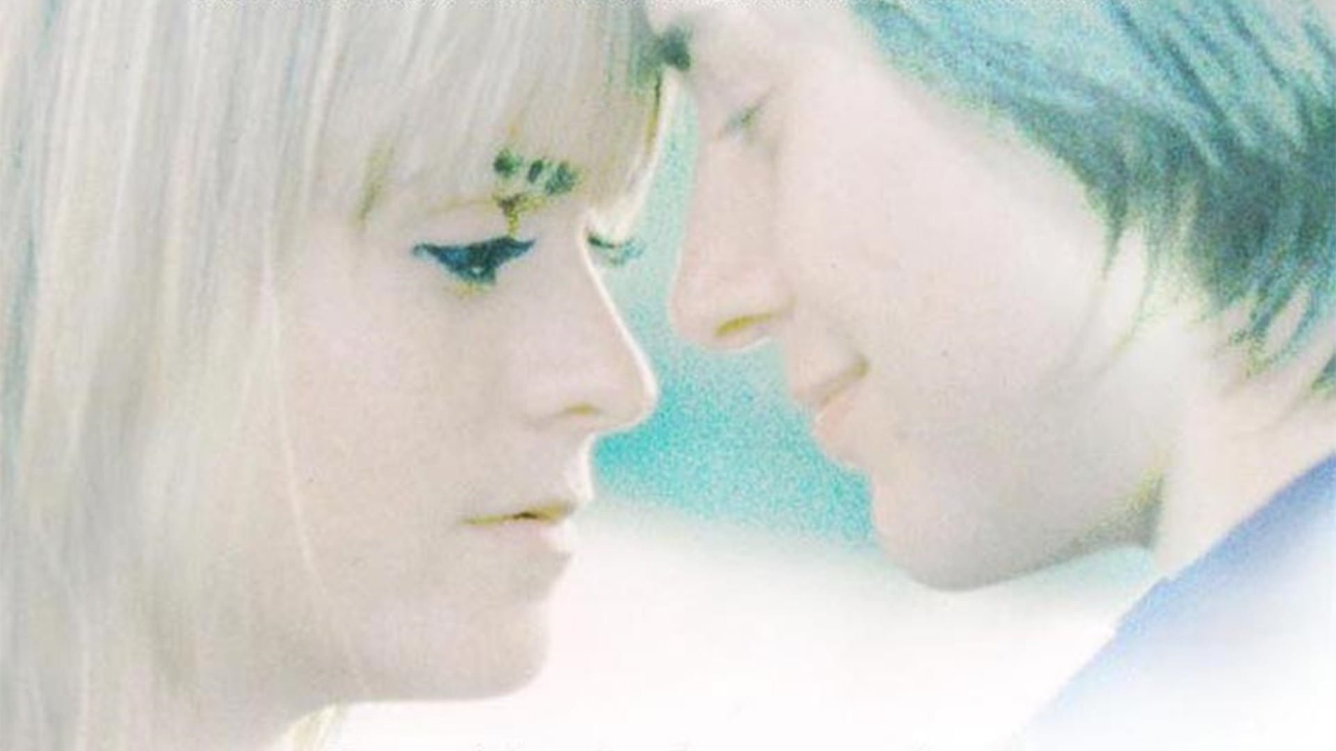 Dandelion Background