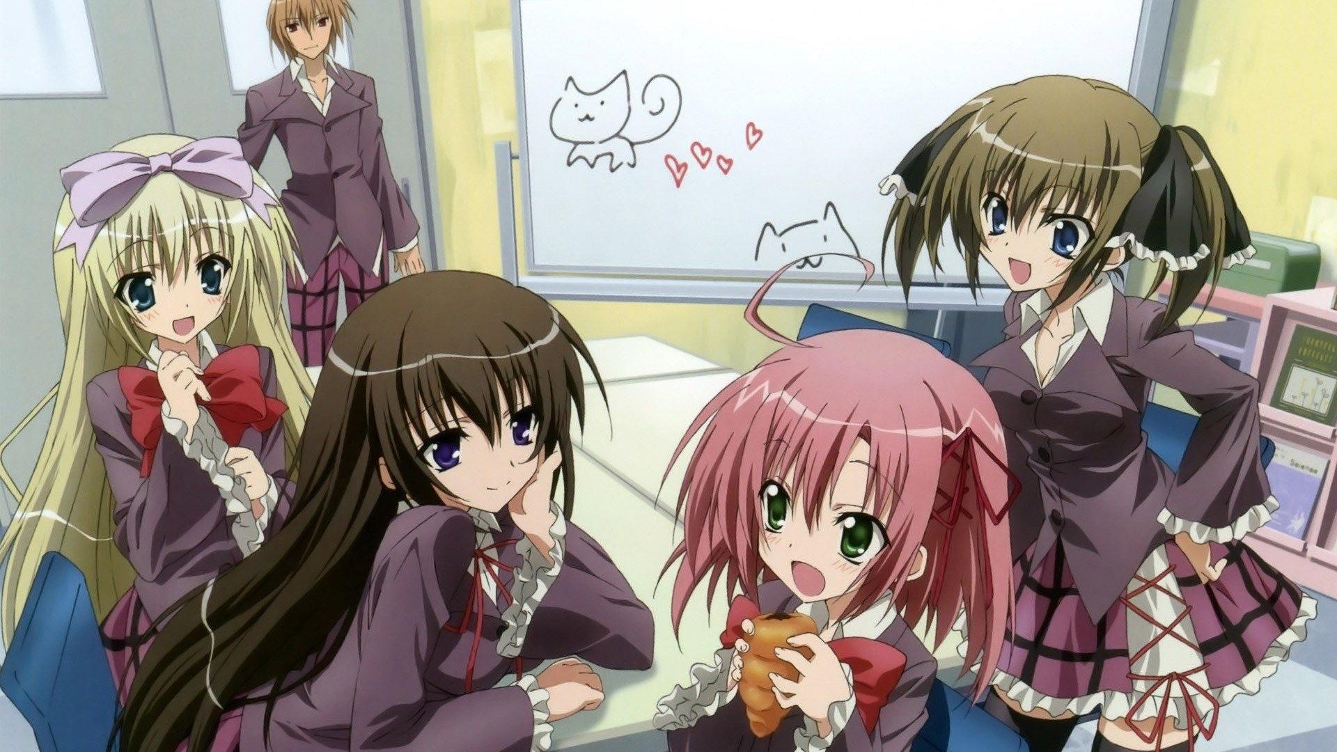 Student Council's Discretion Background