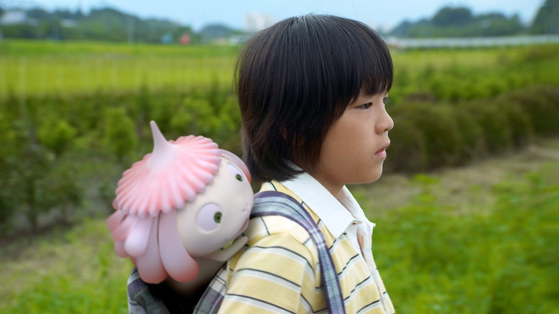 Jellyfish Eyes Background