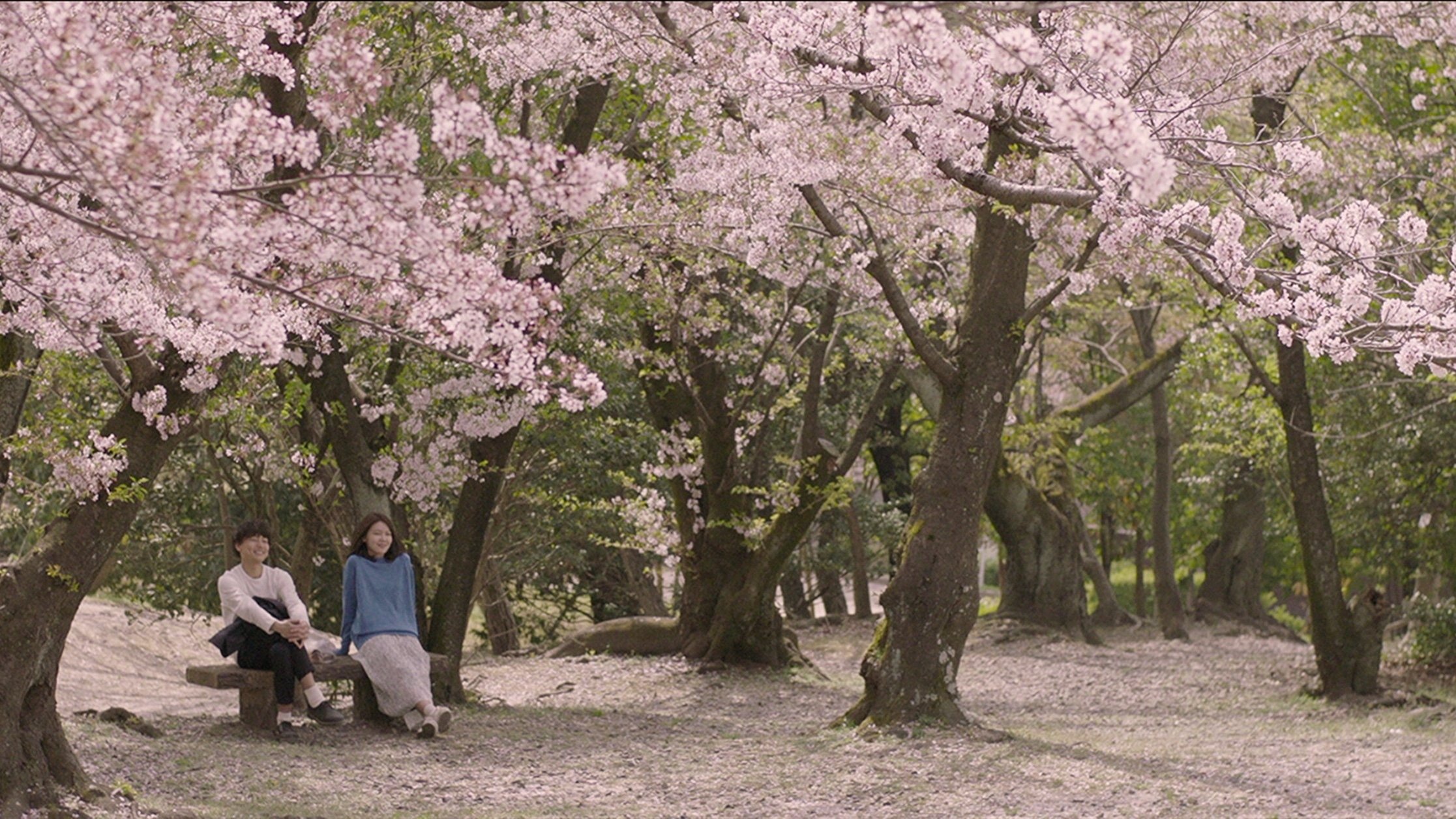 Memories of a Dead End Background