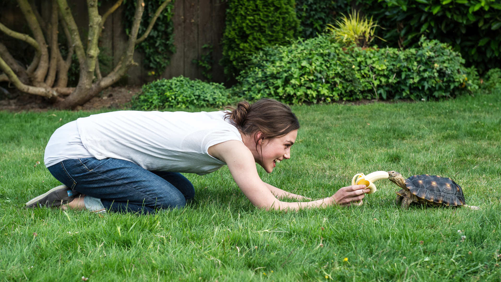 Laggies Background