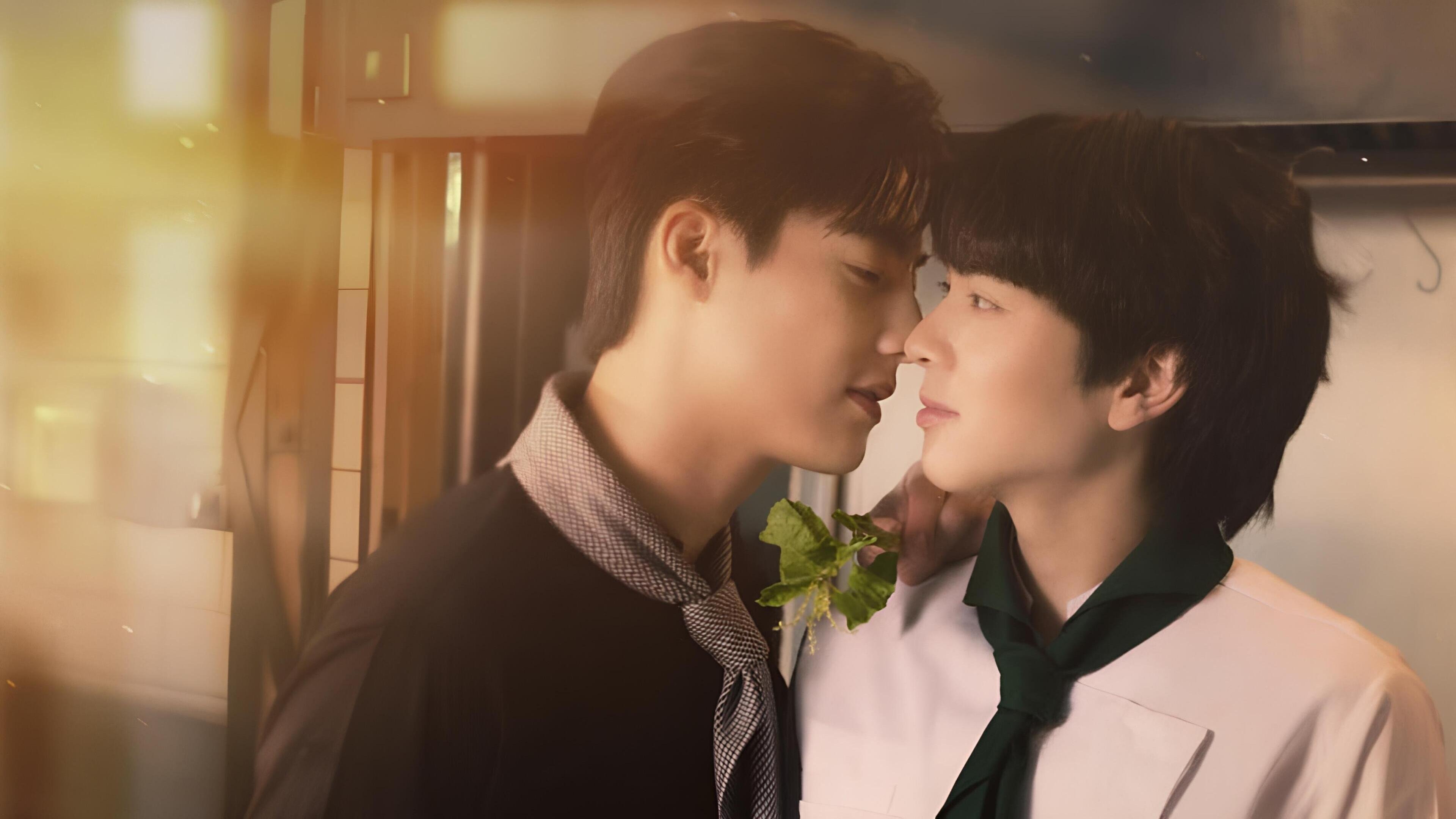 This Love Doesn't Have Long Beans Background