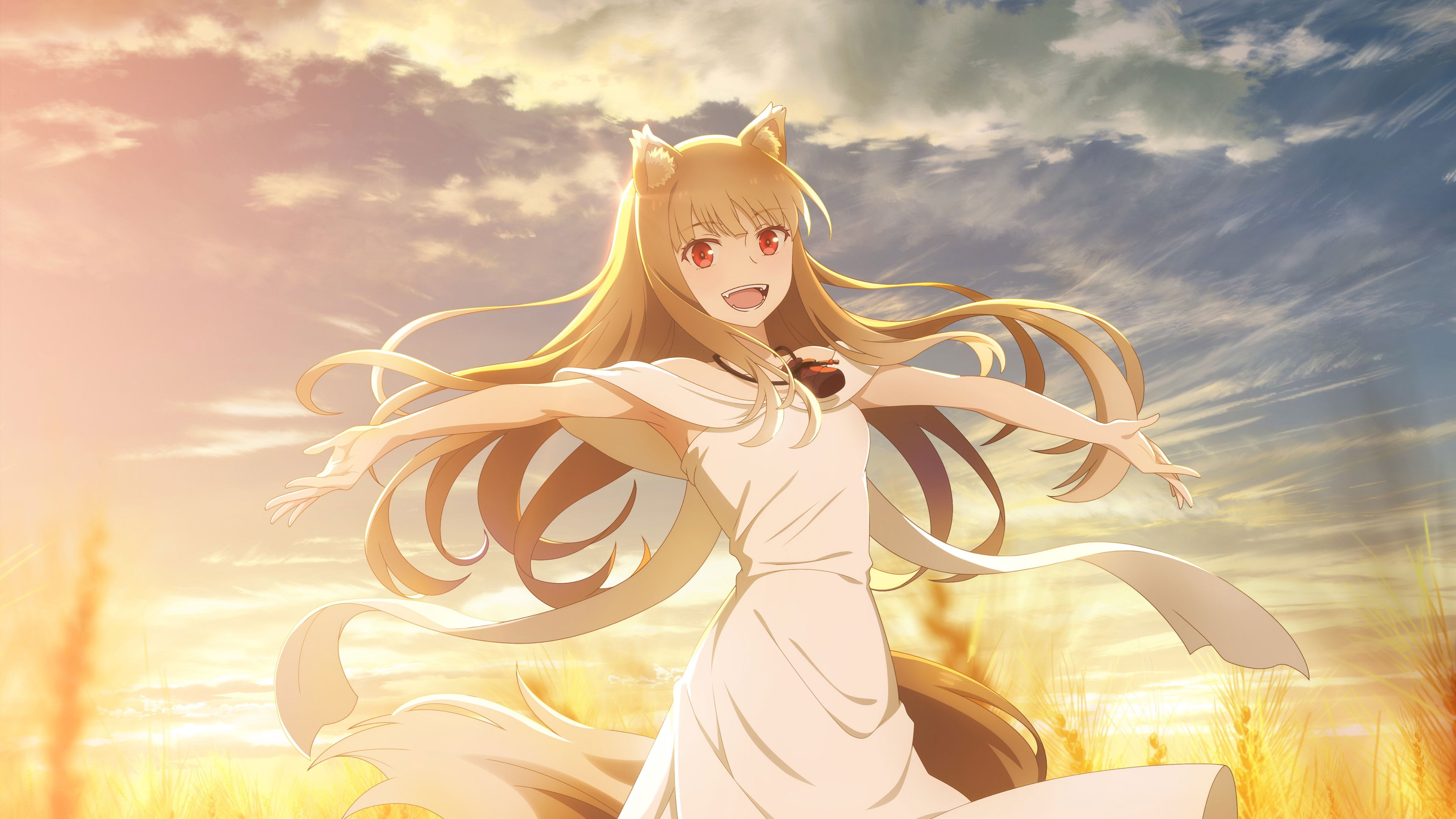 Spice and Wolf: MERCHANT MEETS THE WISE WOLF Background