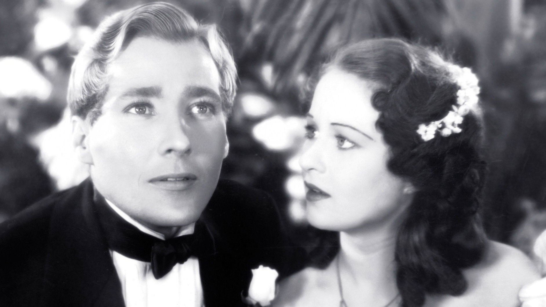 Harmony Lane Background