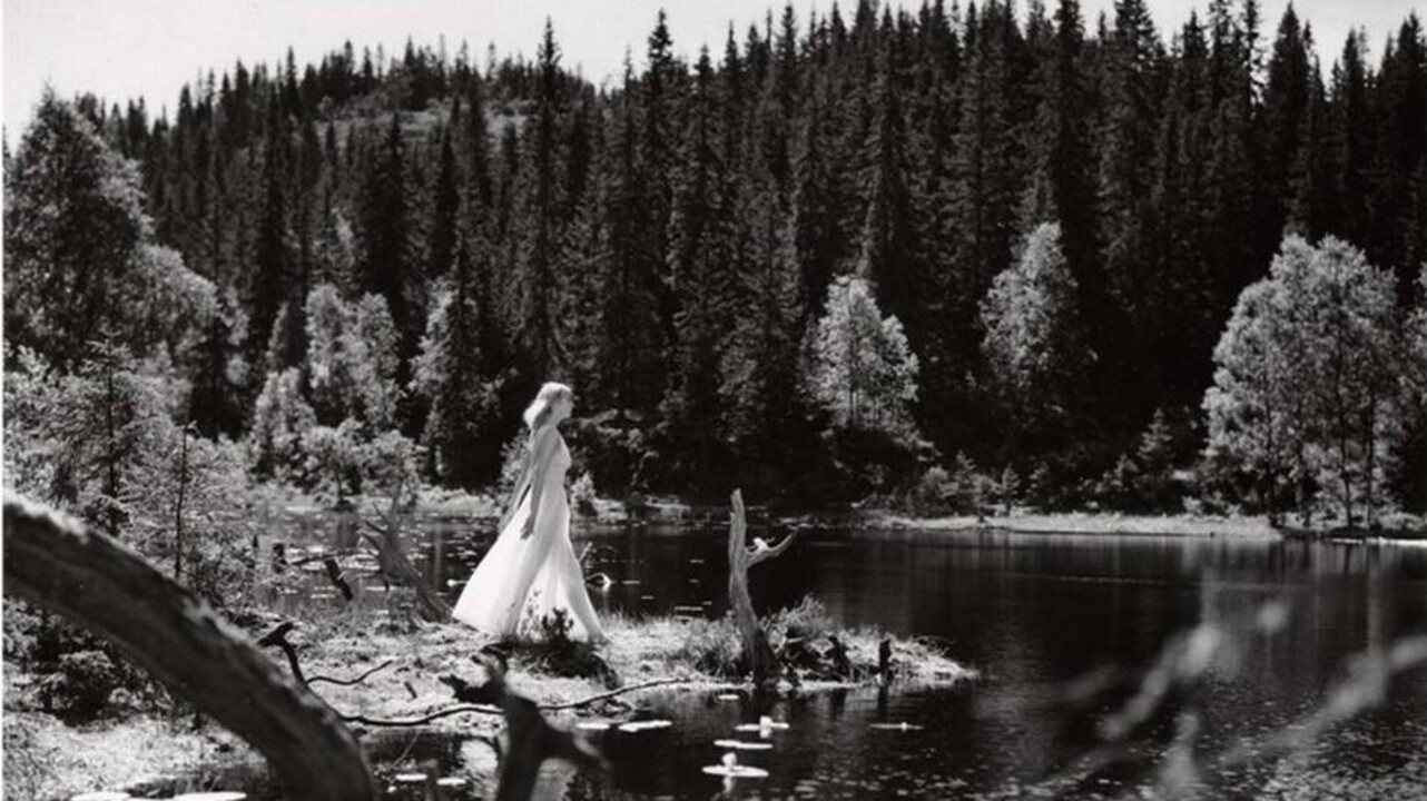 Lake of the Dead Background