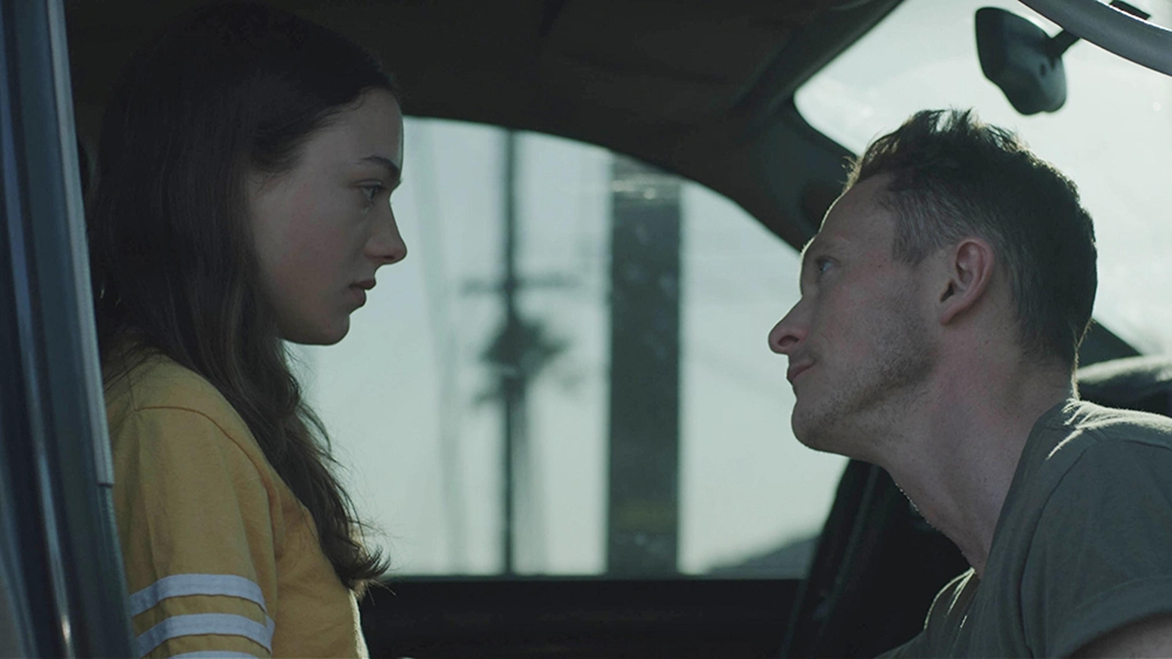 Palm Trees and Power Lines Background