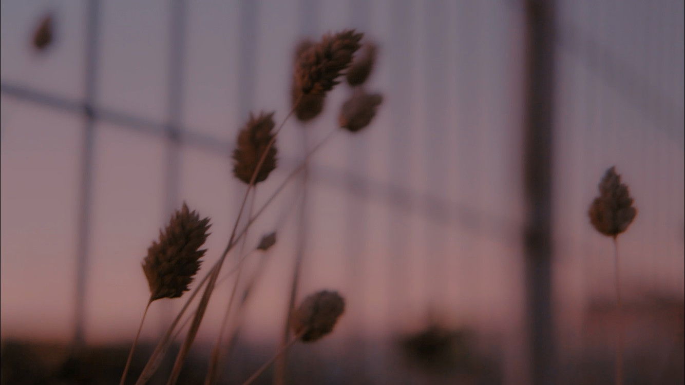 Growing Pains Background