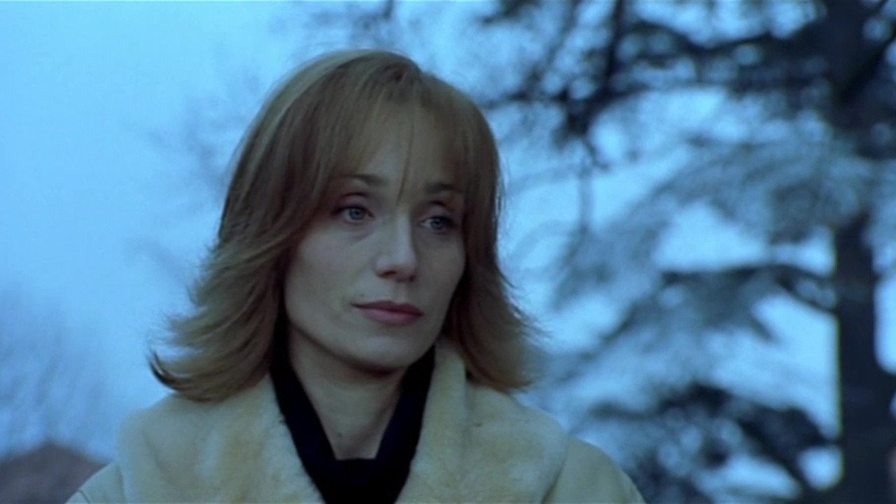 Small Cuts Background