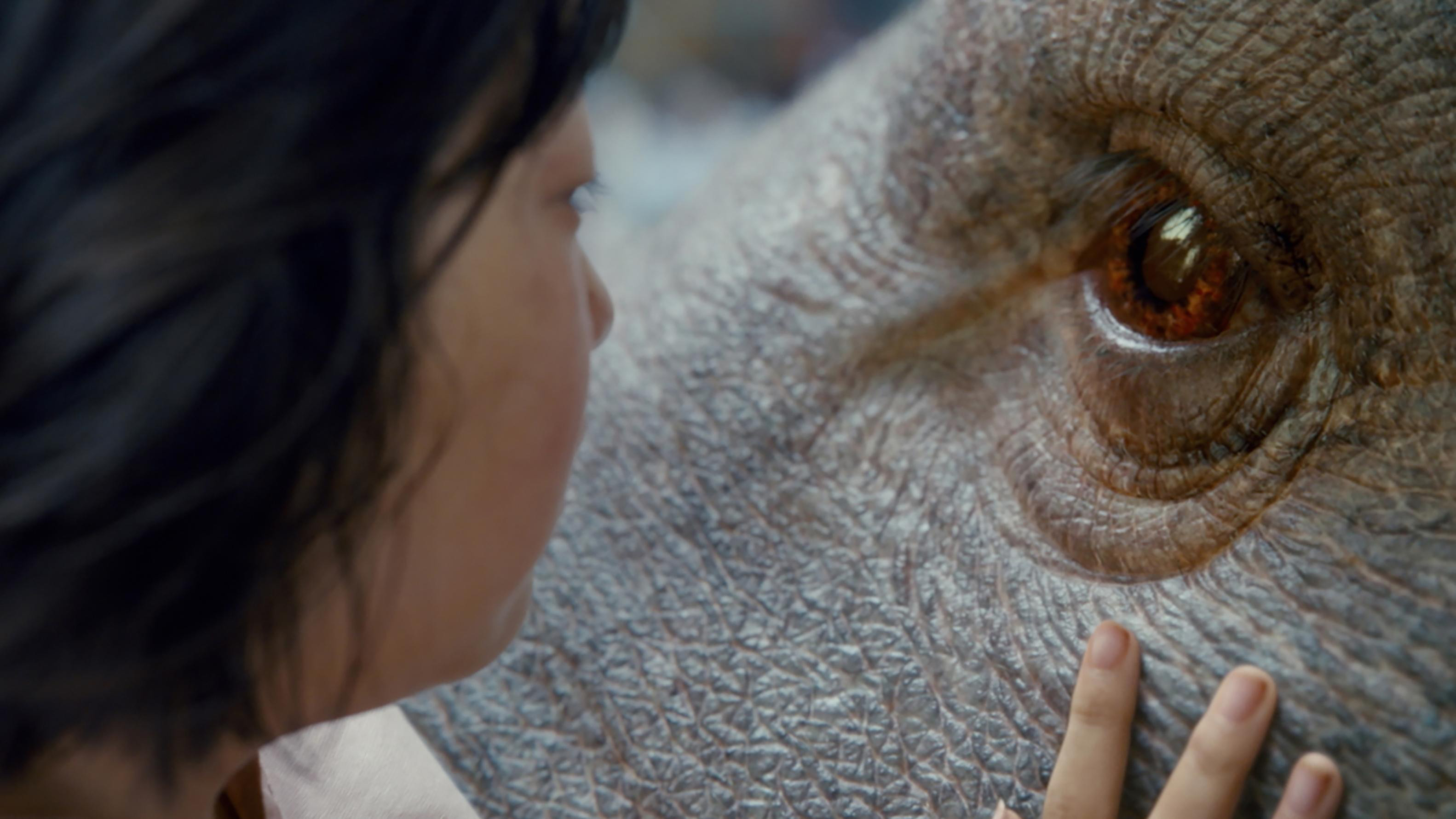 Okja Background