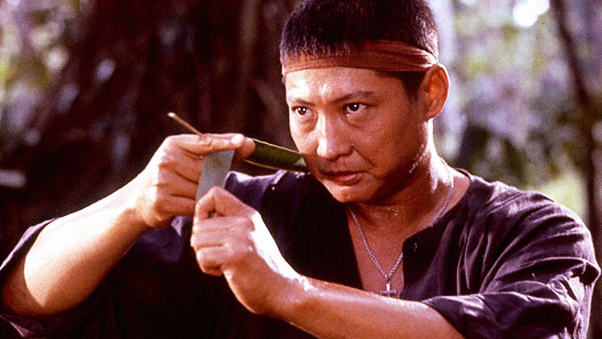 Eastern Condors Background