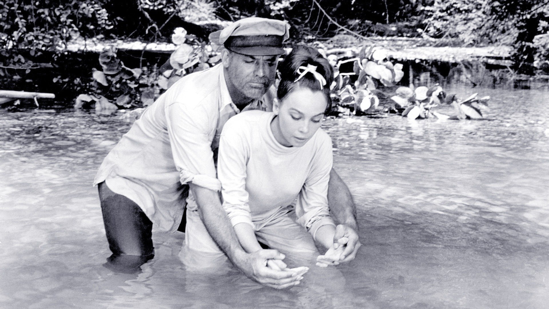 Father Goose Background