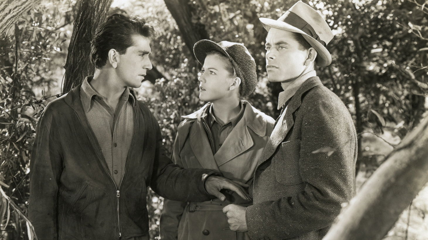 Heaven with a Barbed Wire Fence Background