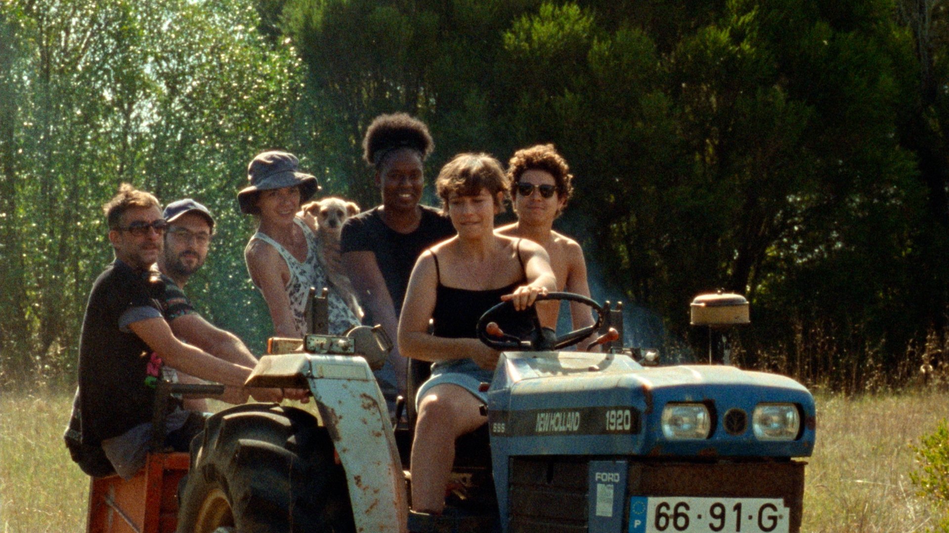 The Tsugua Diaries Background