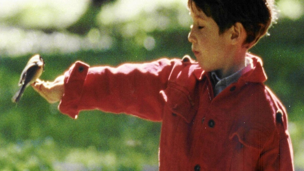 Anything Can Happen Background