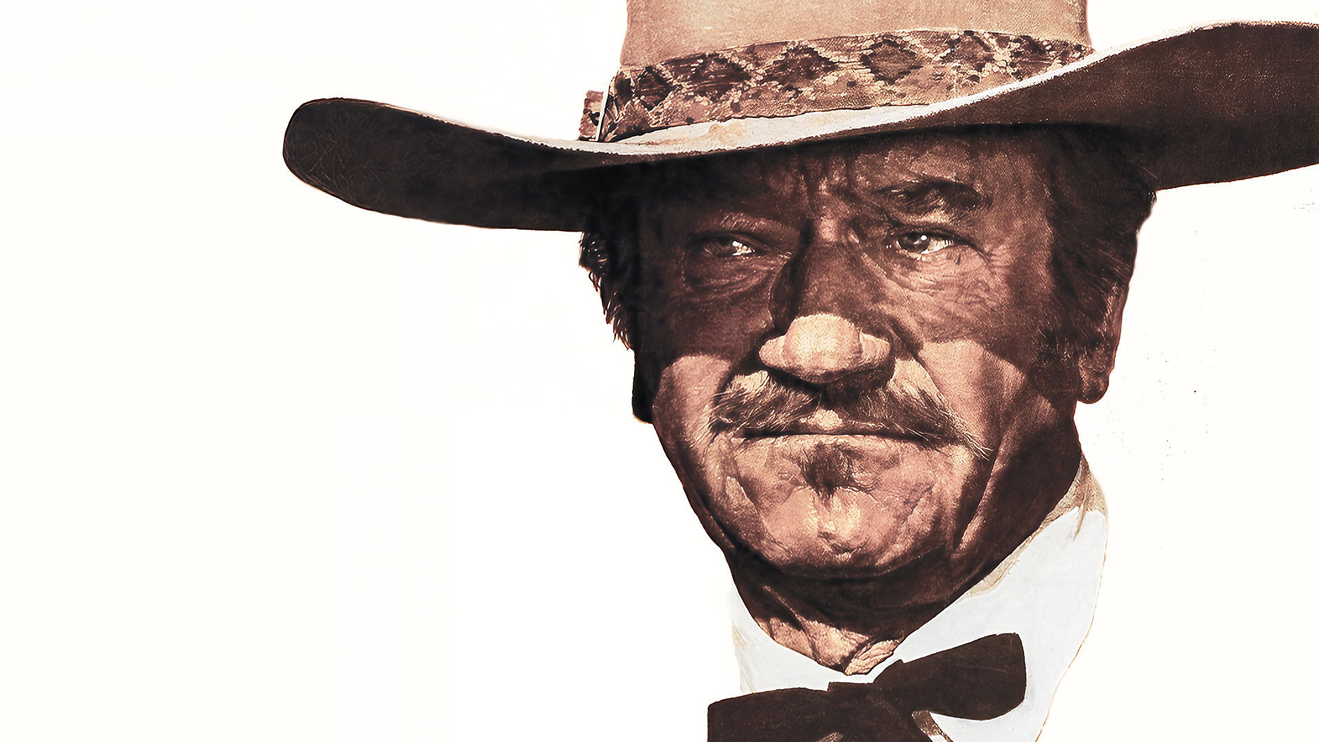 The Shootist Background