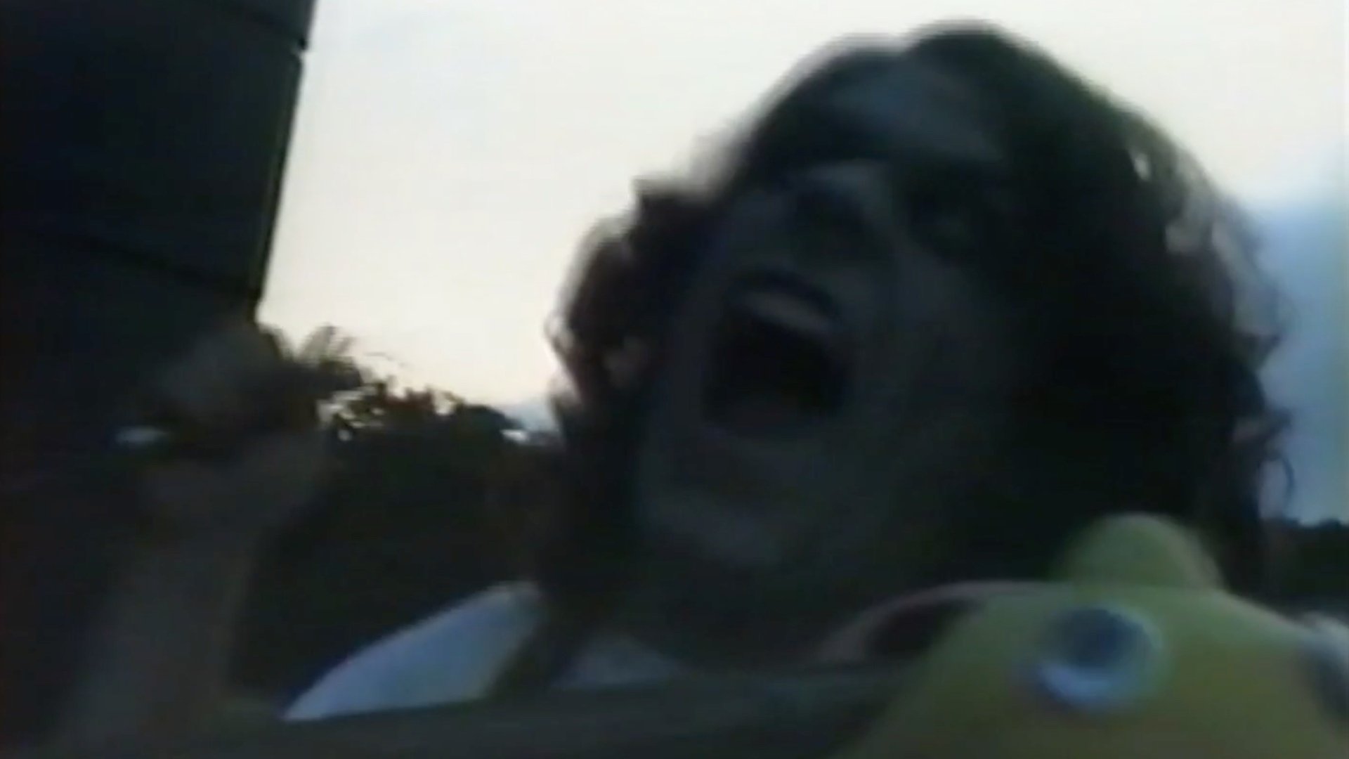 Curse of the Bloody Voodoo Sockpuppet Background