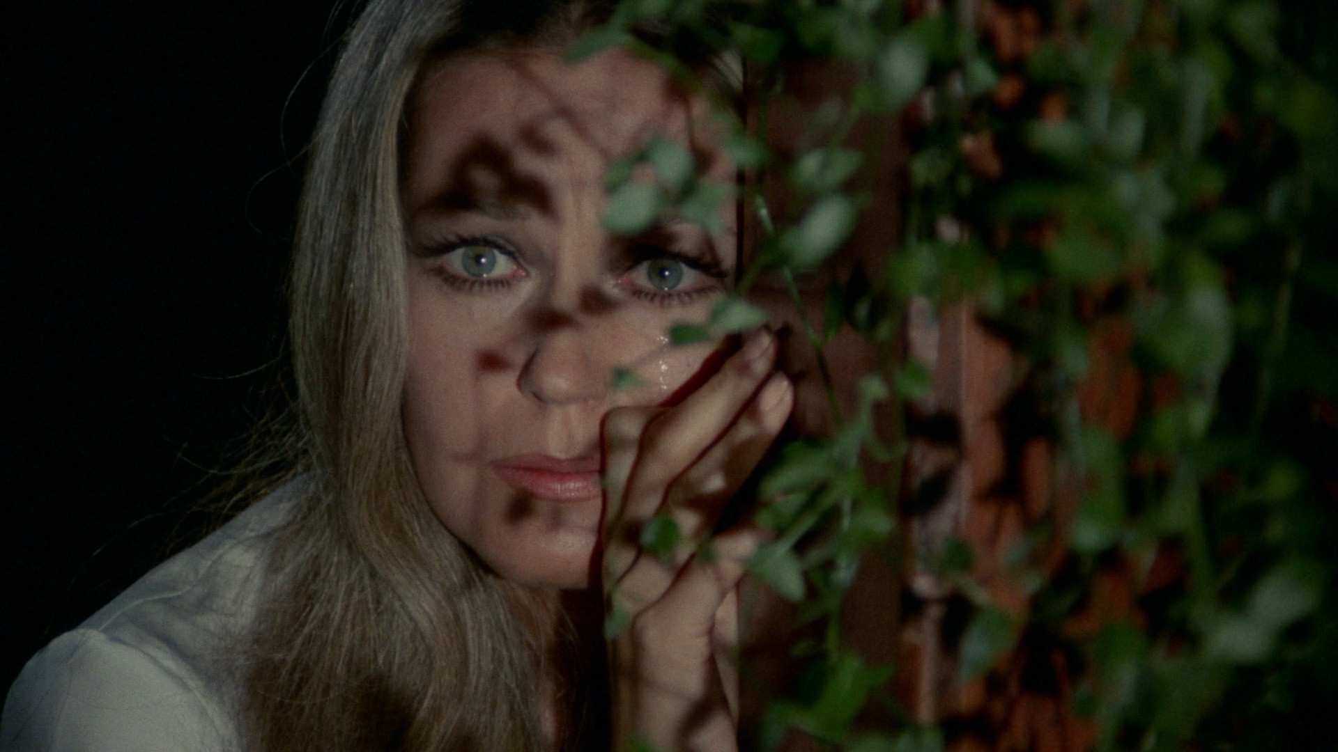 El ojo del huracán Background