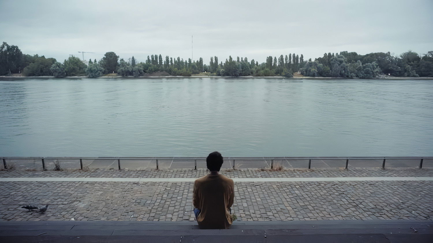 Fahnenflucht Background