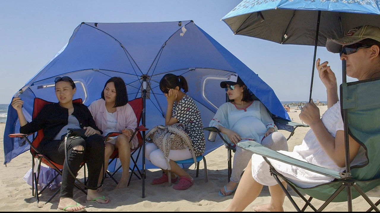 How to Have an American Baby Background