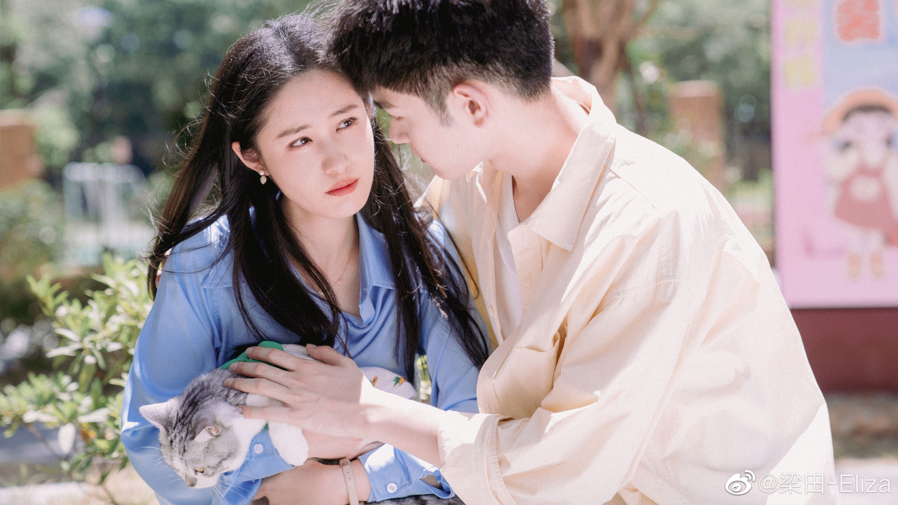 Fall in Love Again Background