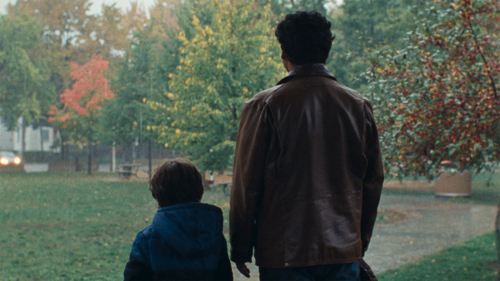 The Coyote Background