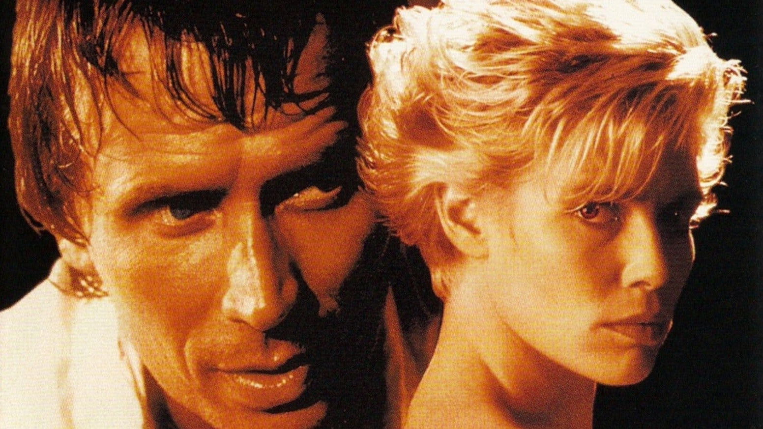 Cat Chaser Background