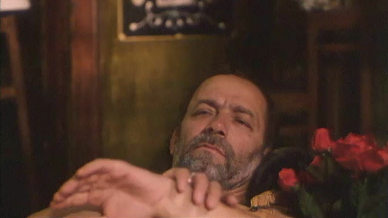 A Wolf Teeth Necklace Background