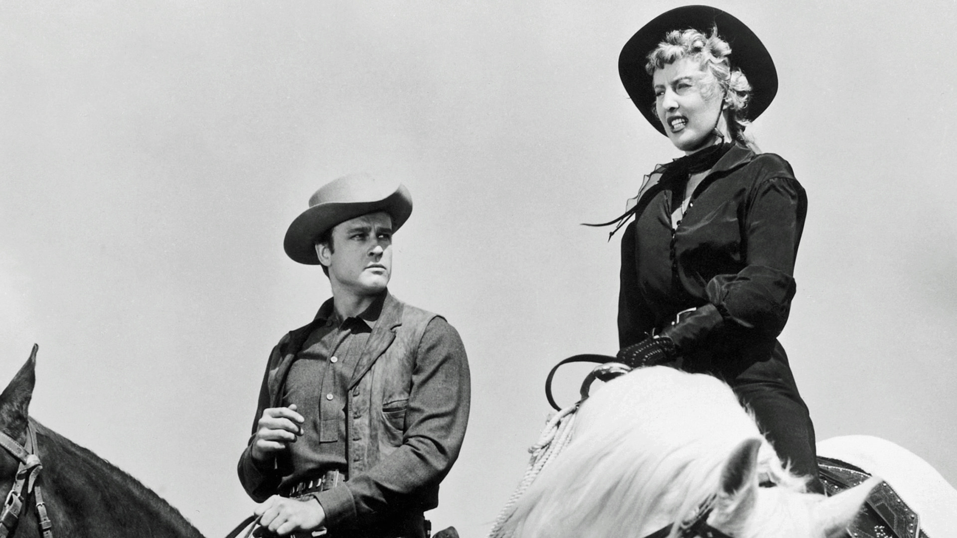 Forty Guns Background