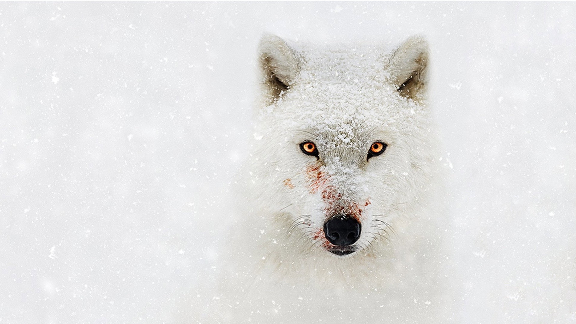 Hostile Planet Background