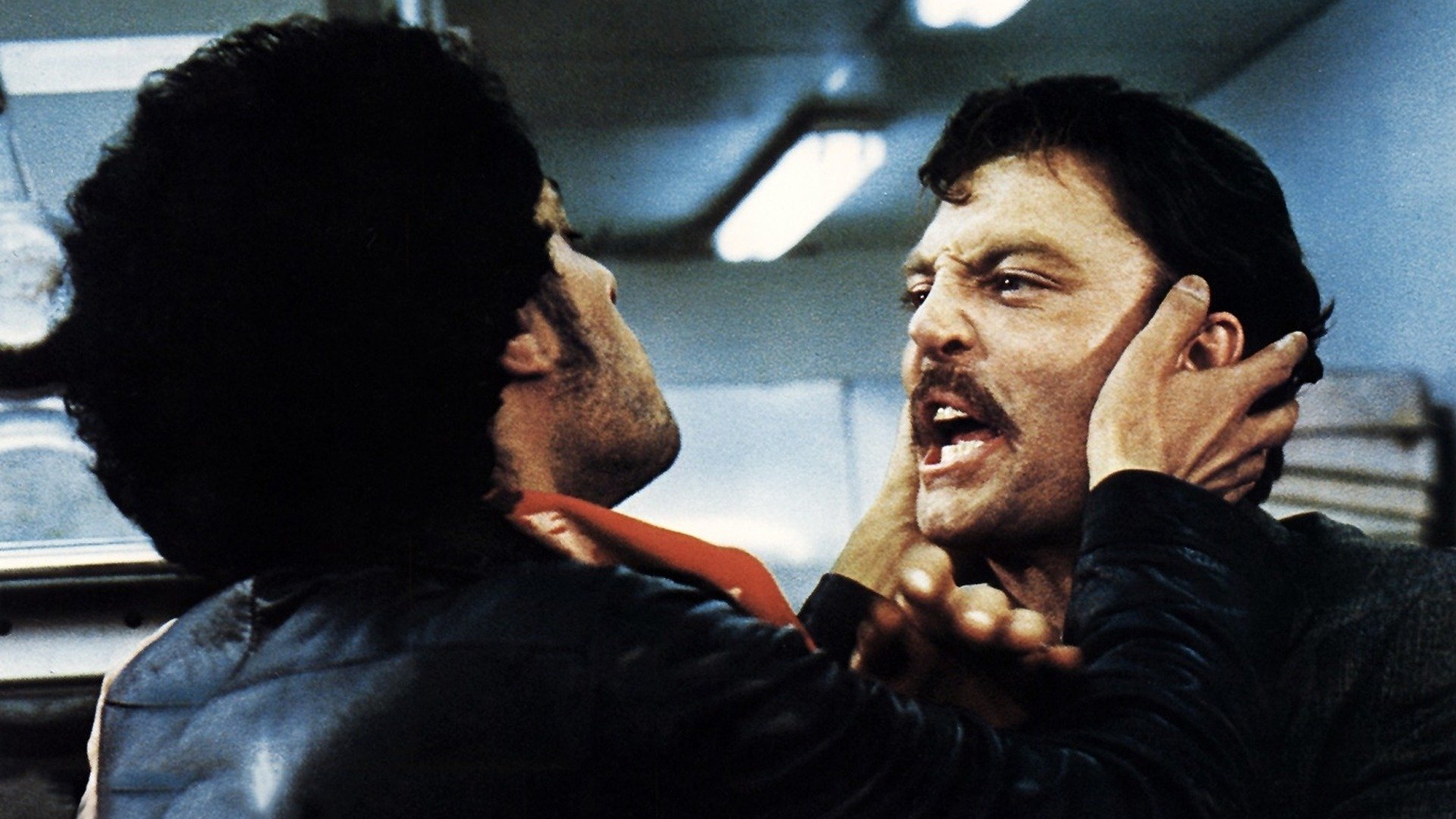 The Dion Brothers Background