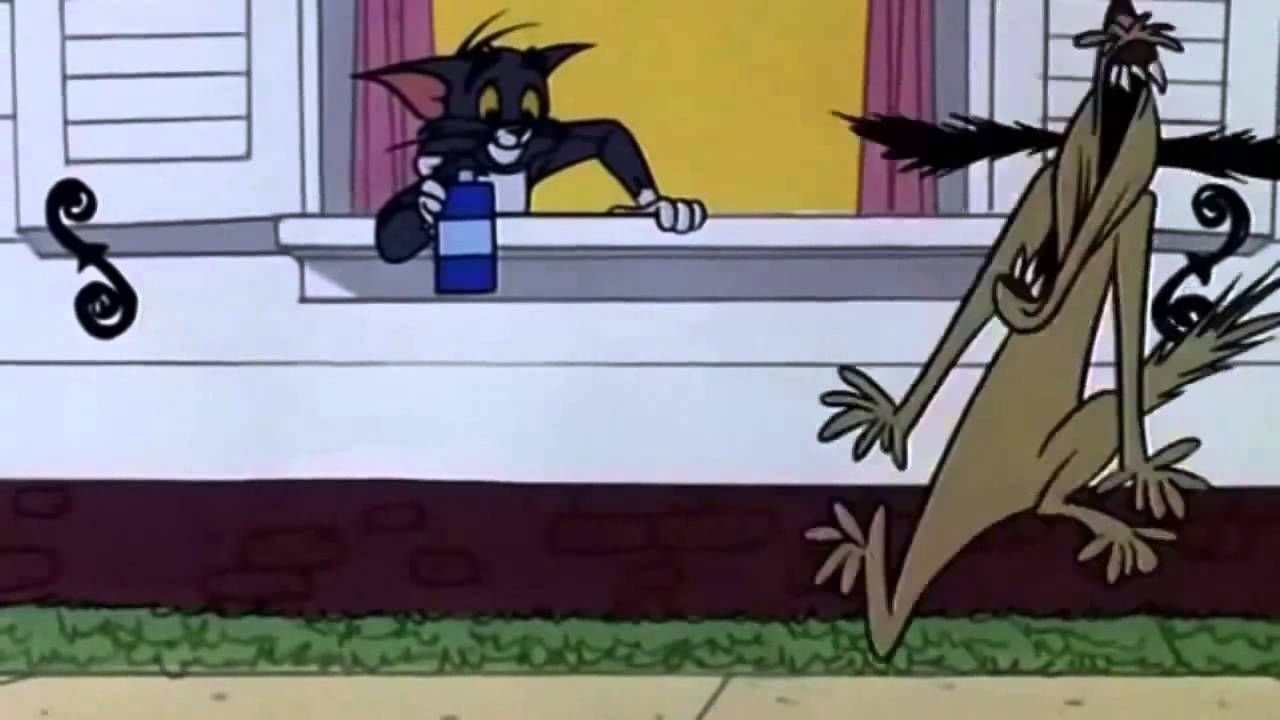 Purr-Chance to Dream Background