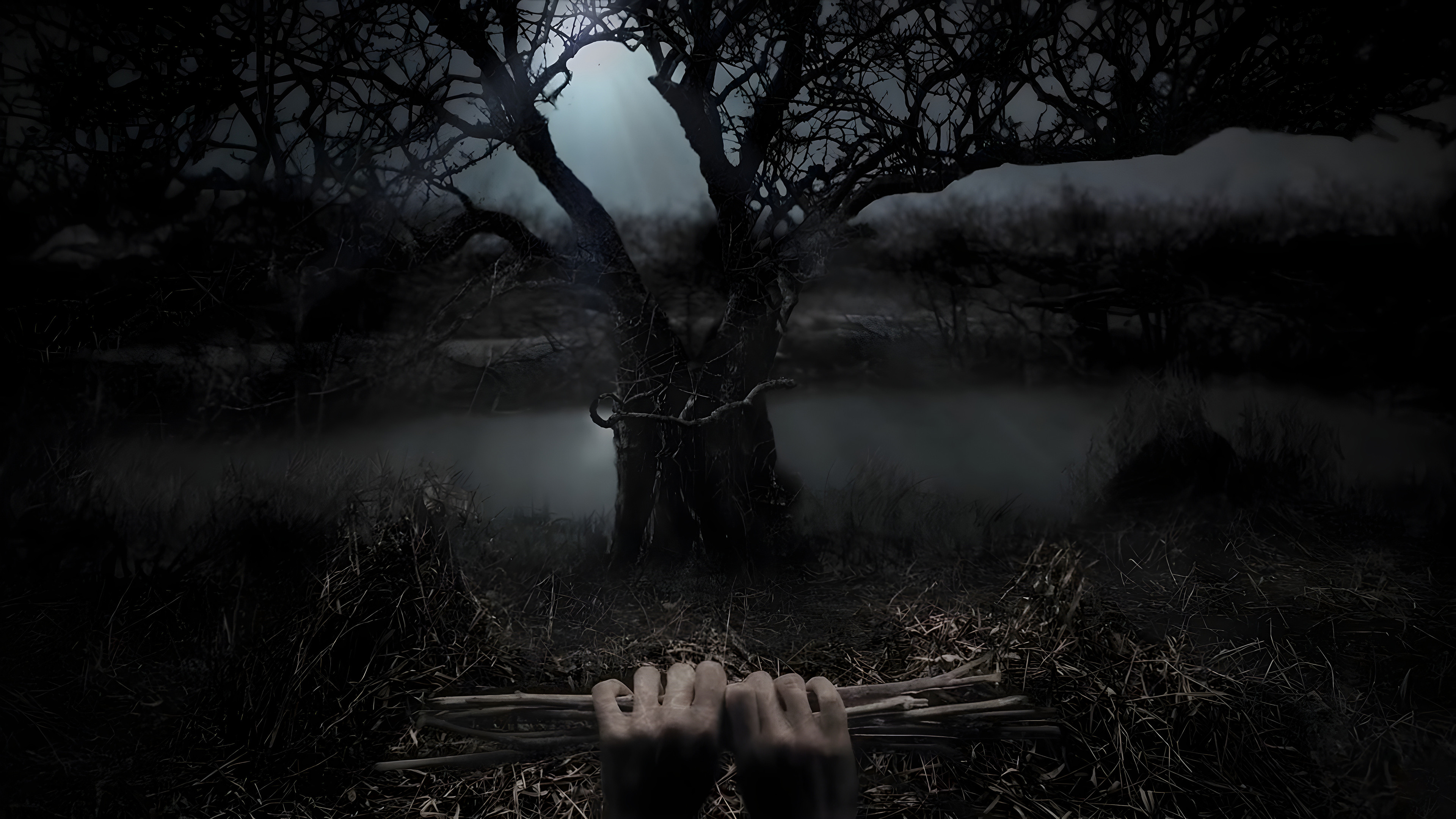 Stephen King's Kingdom Hospital Background