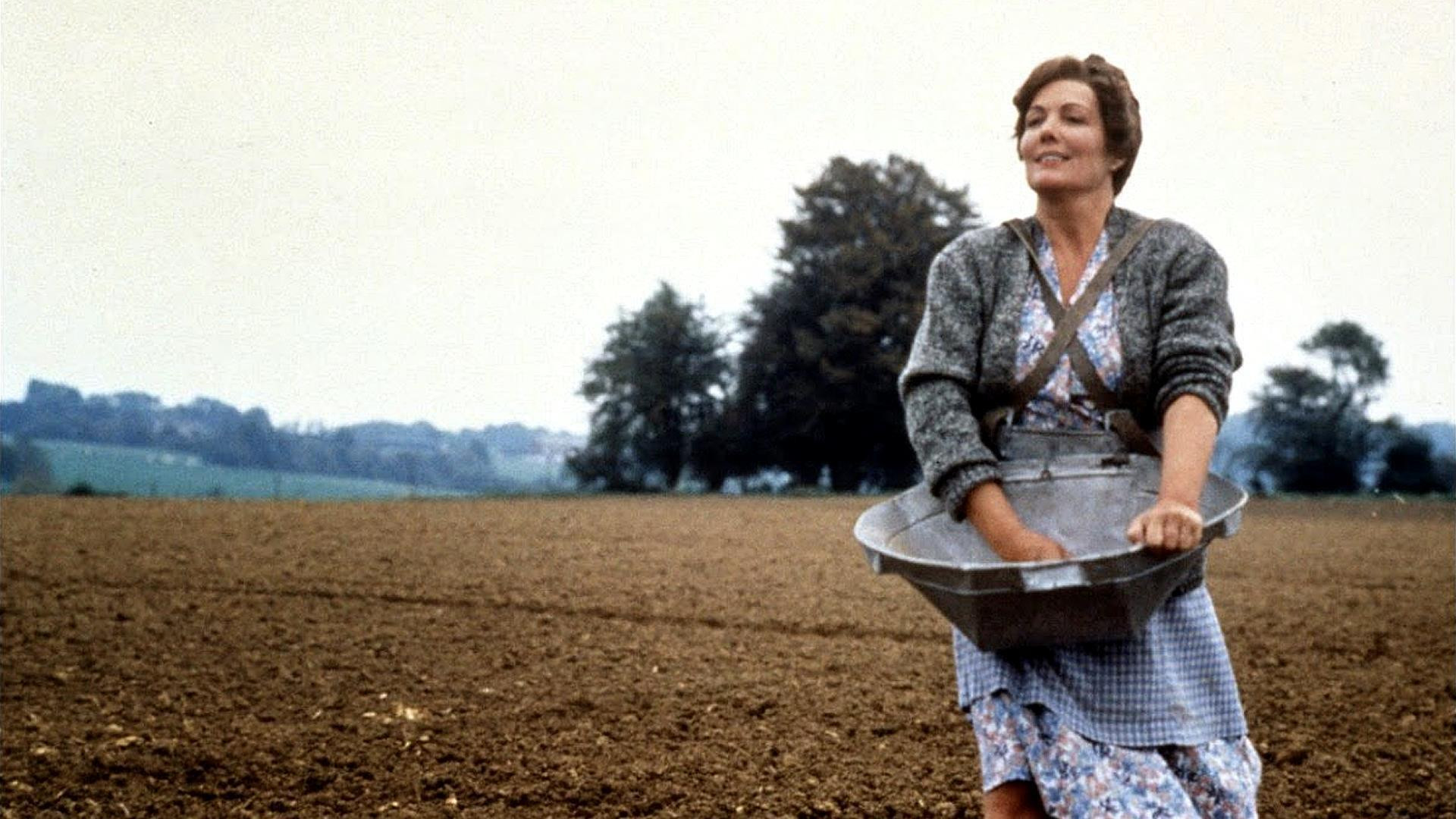 Antonia's Line Background