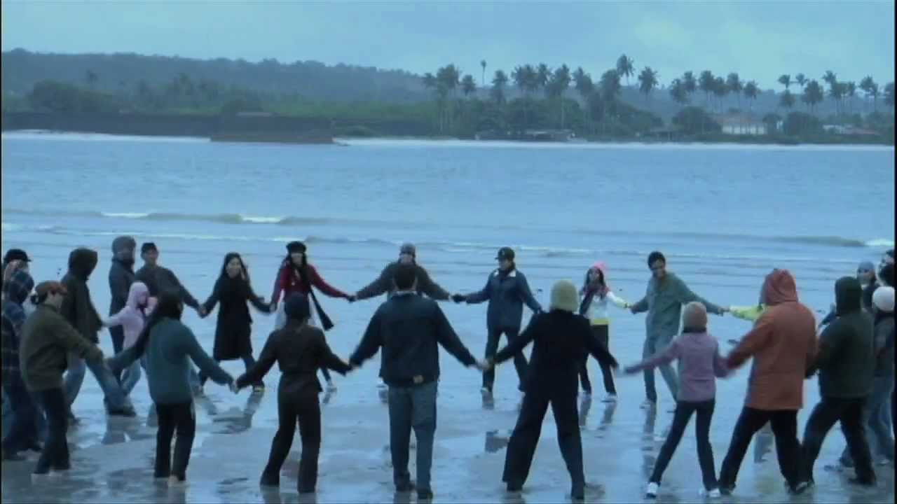 Cold Tropics Background