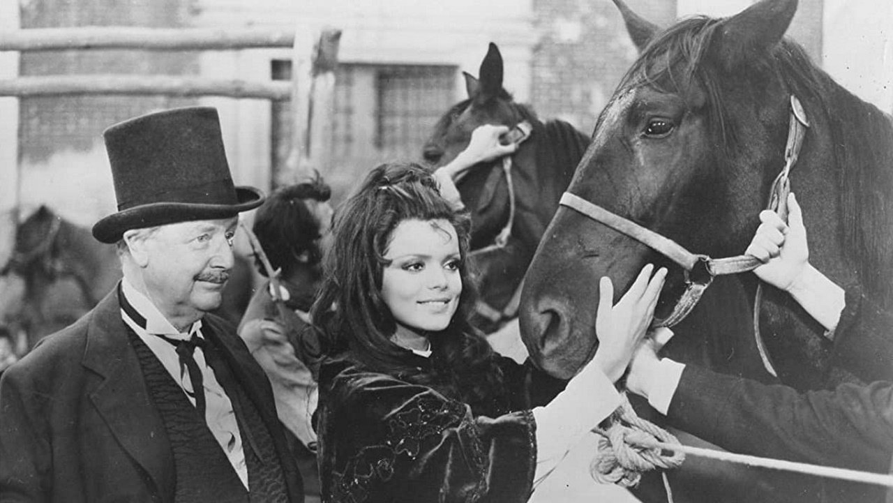 Black Beauty Background