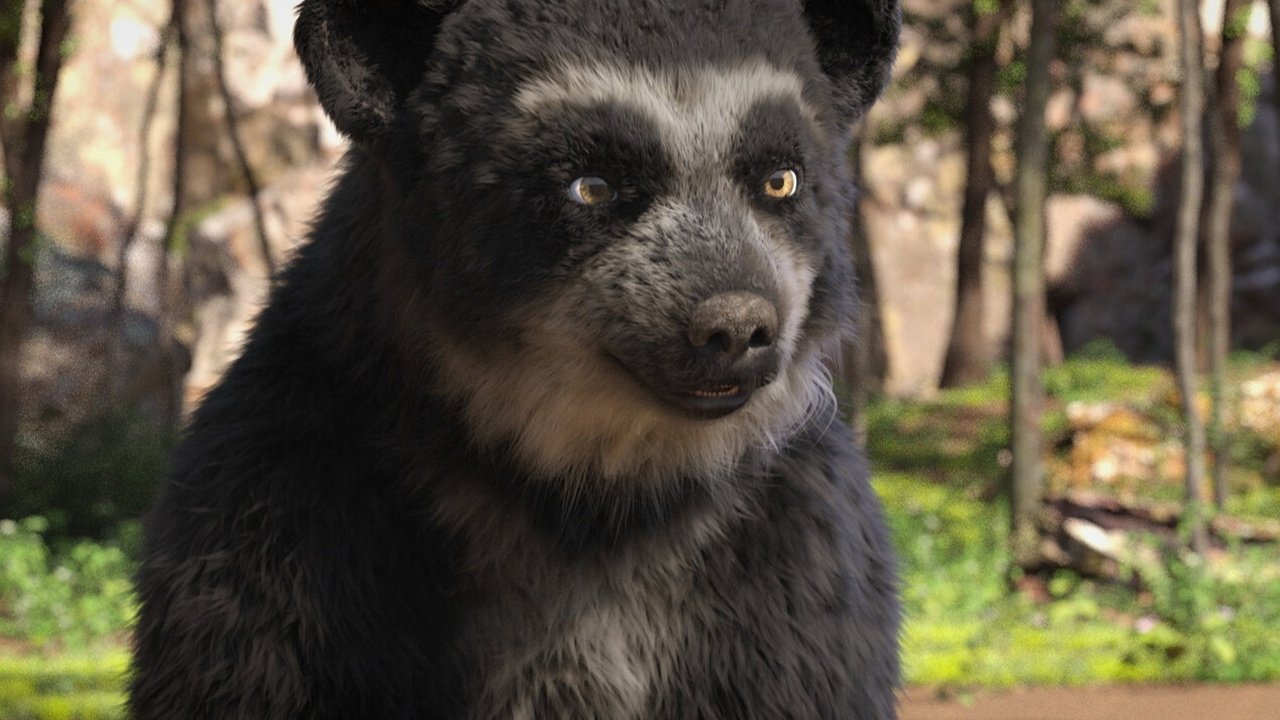 Milagros: Una osa extraordinaria Background